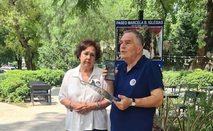 Fallo internacional contra Argentina por un caso sin justicia tras la muerte de una niña en Palermo